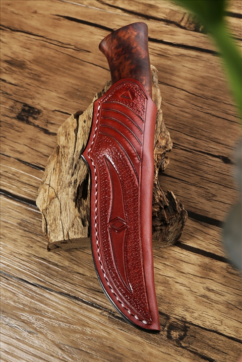 ���� (2).JPG