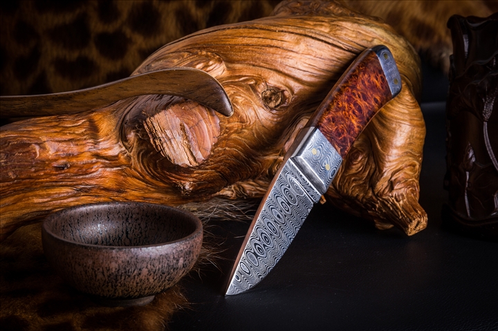 场景�?718-花豹 (1).jpg